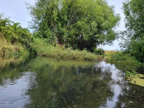 General Request, a report photo