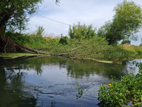 General Request, a report photo