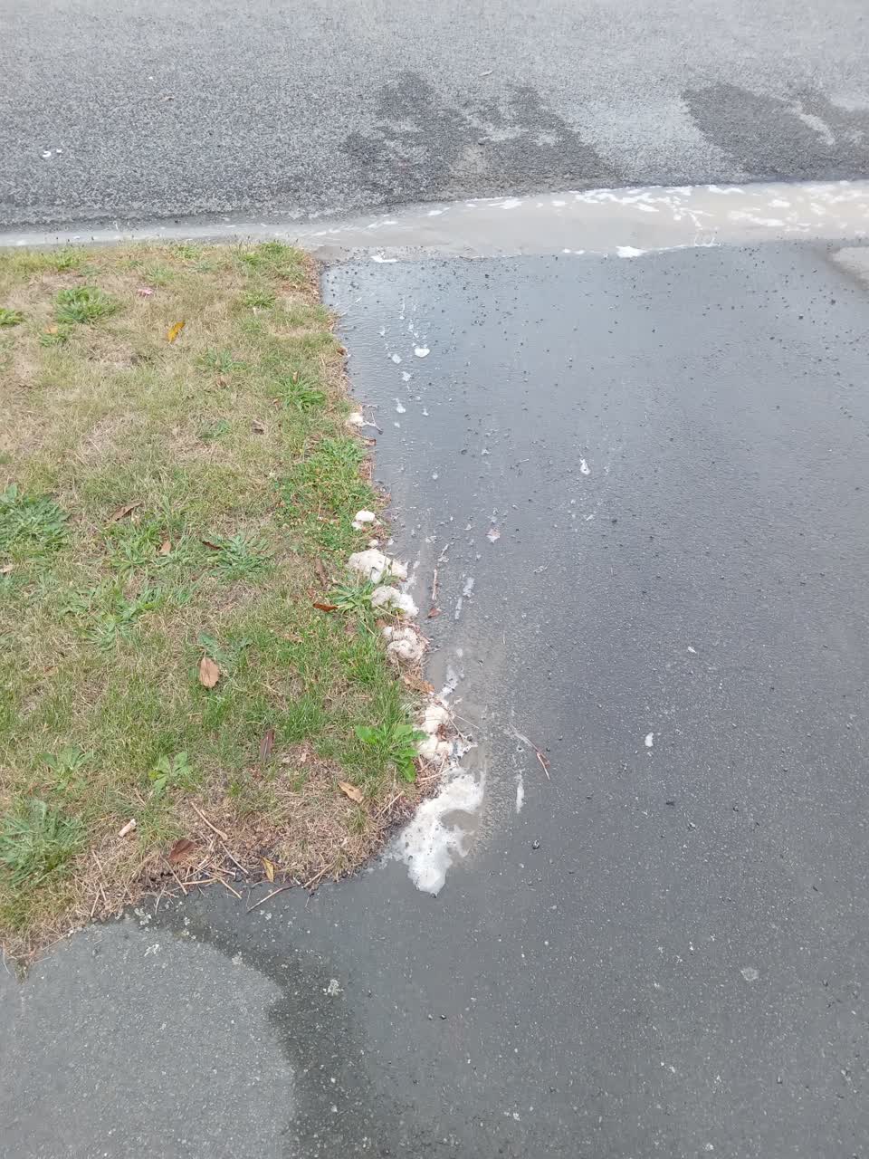 The photograph attached to this water leak report