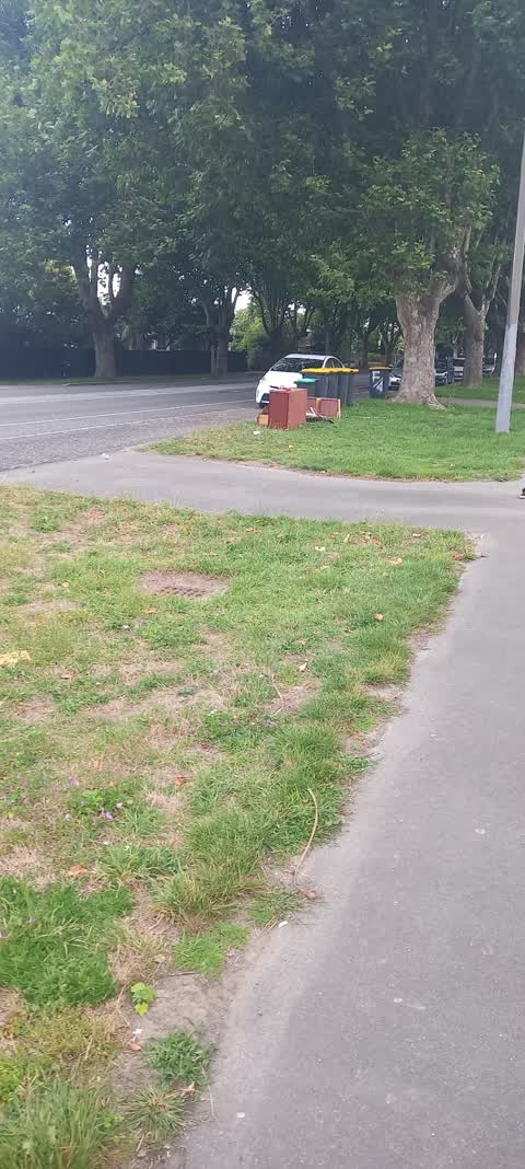 Rubbish/Recycling, a report photo