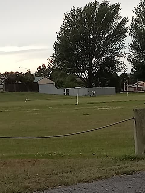 Parks — a report photo