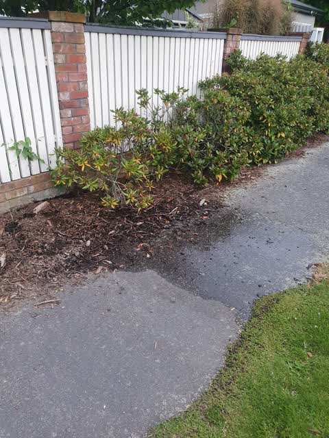 Water Leak, a report photo