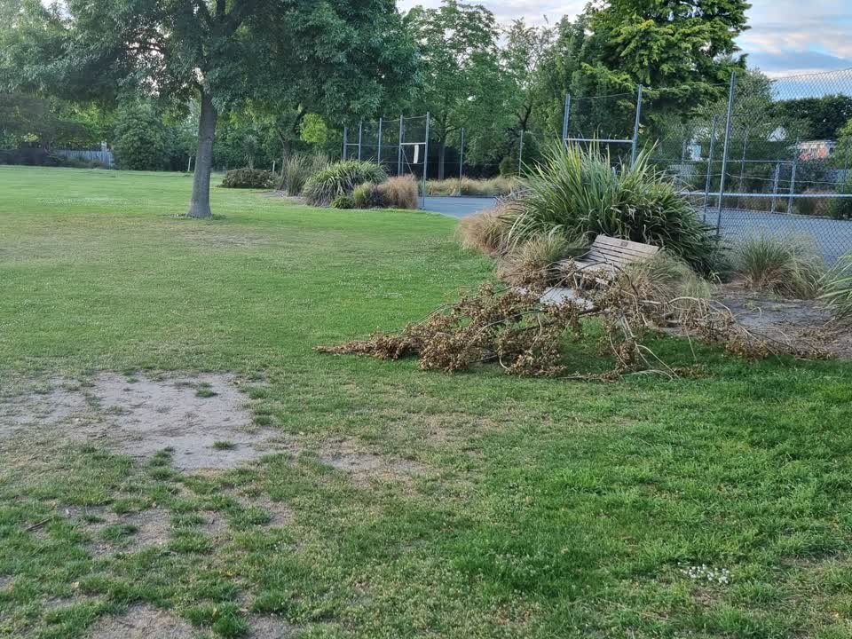 The photograph attached to this parks report