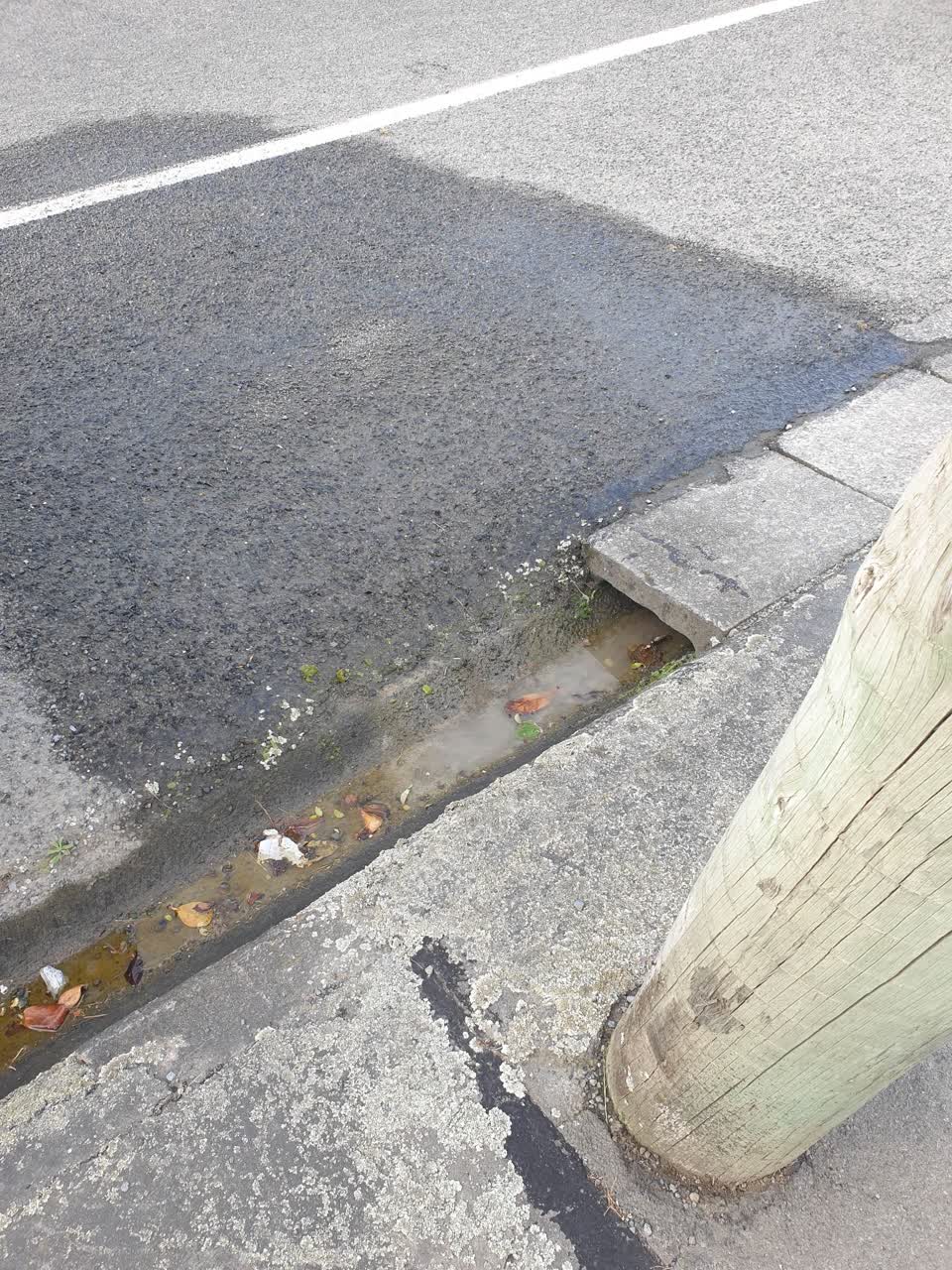 The photograph attached to this water leak report
