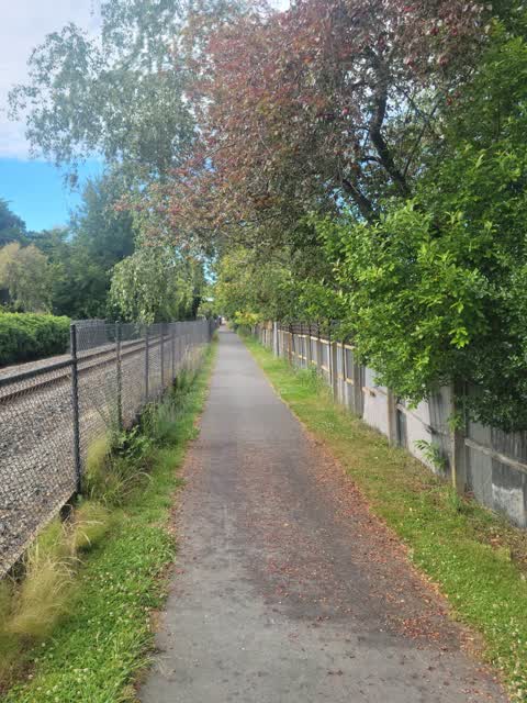 Roading/Streets, a report photo