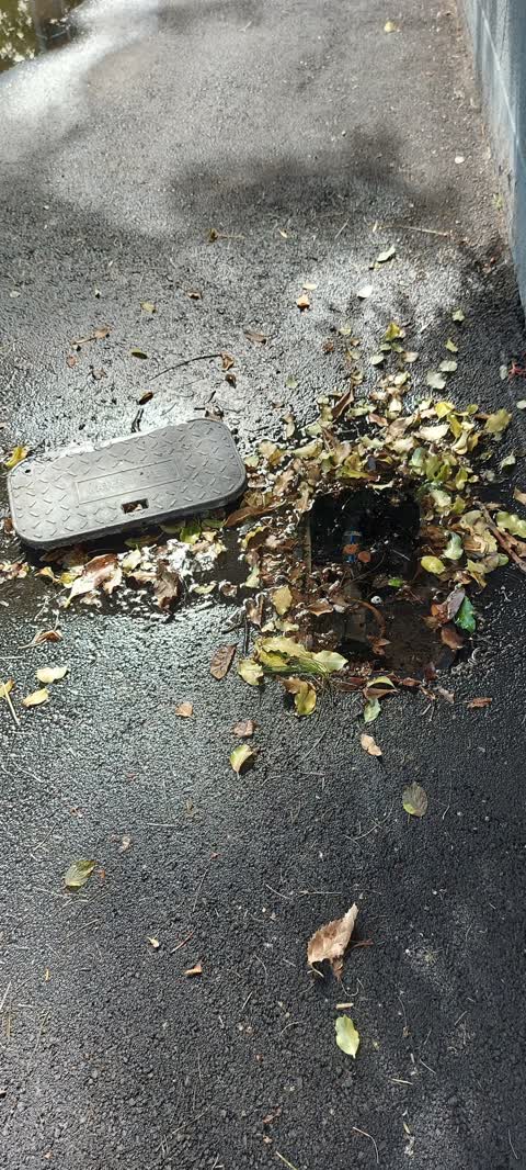 Water Leak, a report photo