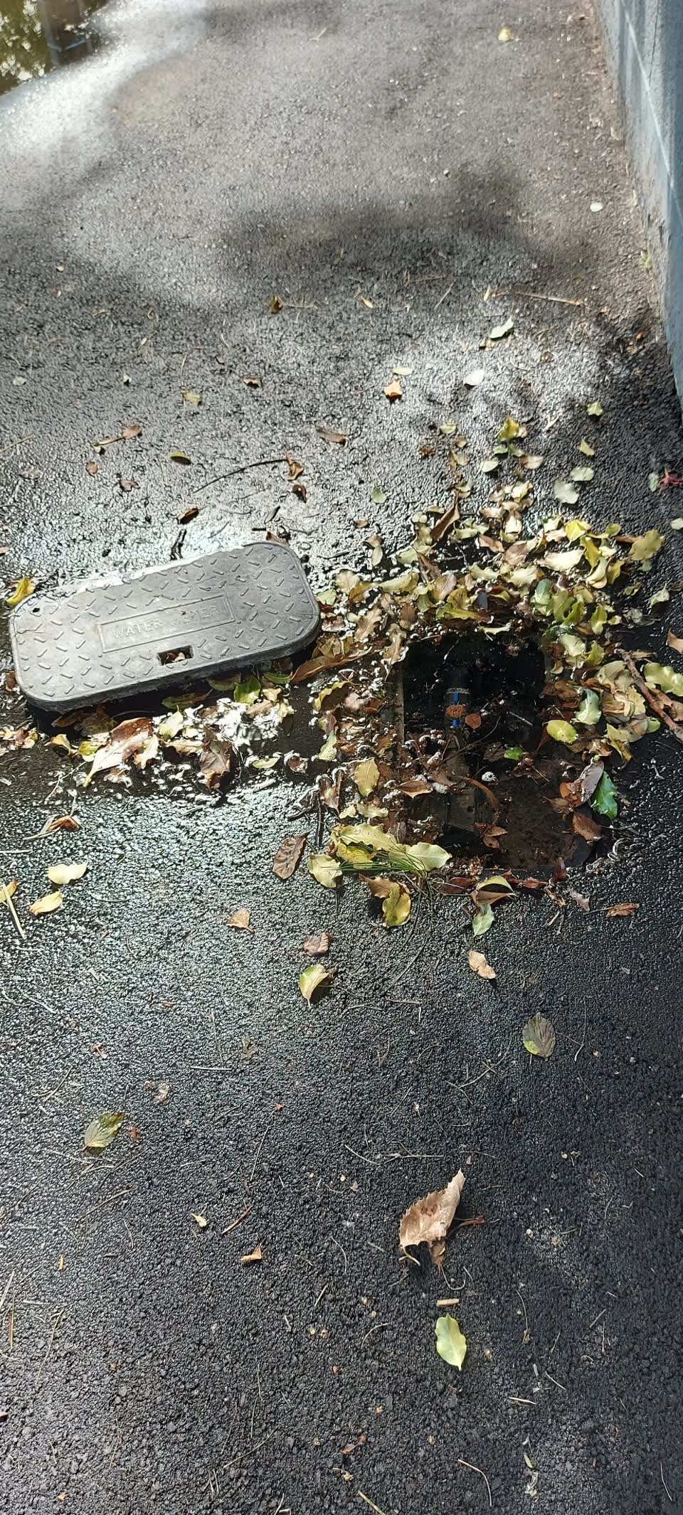The photograph attached to this water leak report