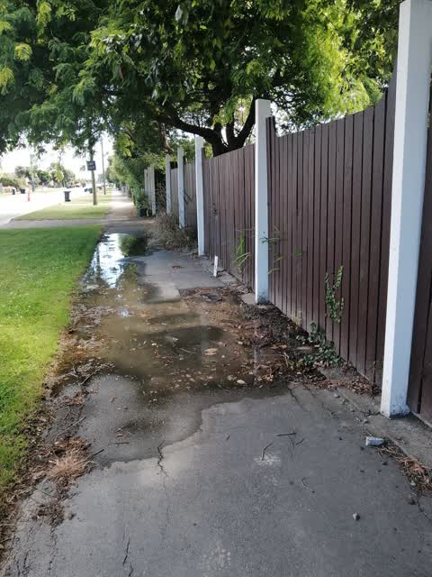 Water Leak, a report photo