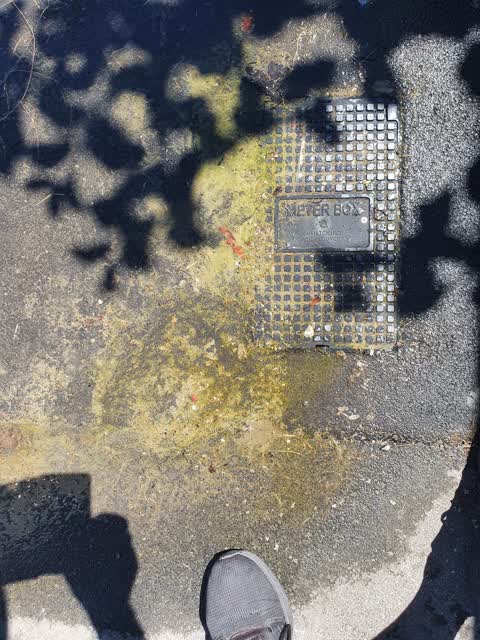 Water Leak, a report photo
