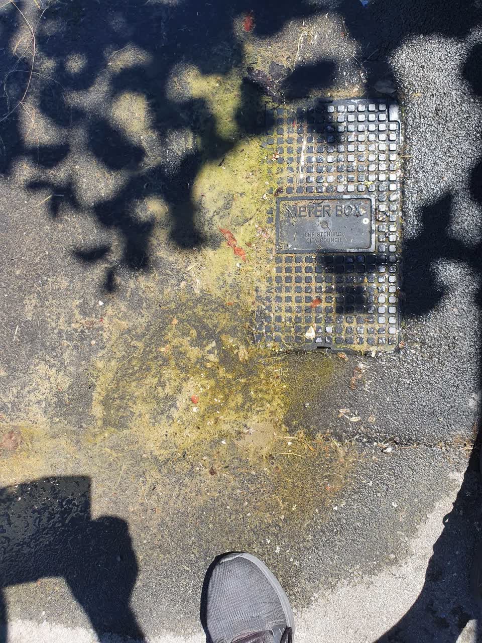 The photograph attached to this water leak report