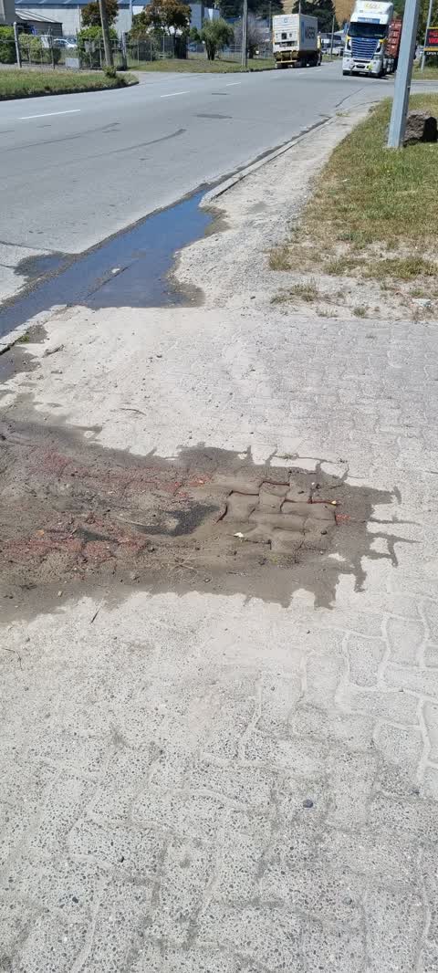 Water Leak, a report photo