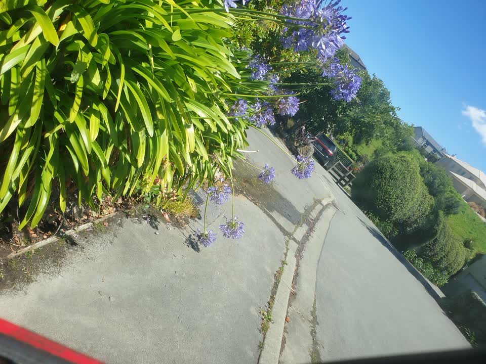 The photograph attached to this water leak report