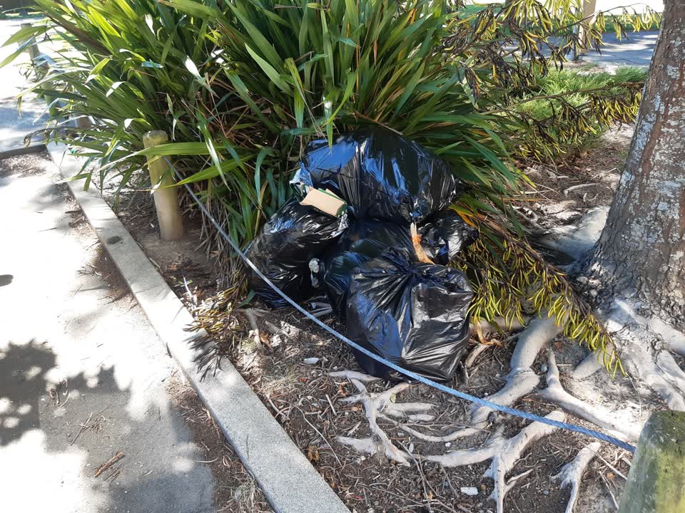 The photograph attached to this rubbish/recycling report