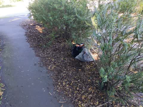 Rubbish/Recycling — a report photo