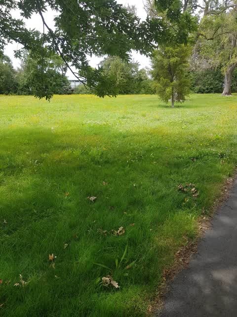 Parks, a report photo