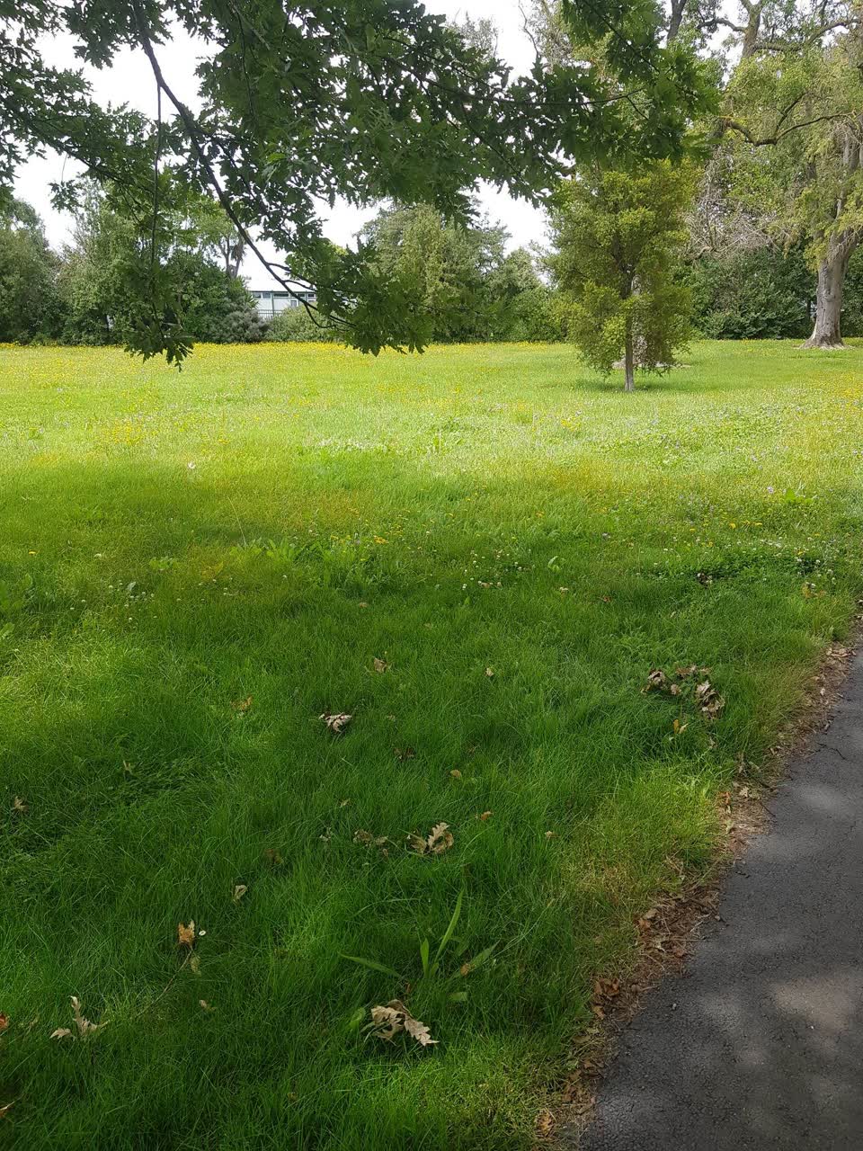 The photograph attached to this parks report