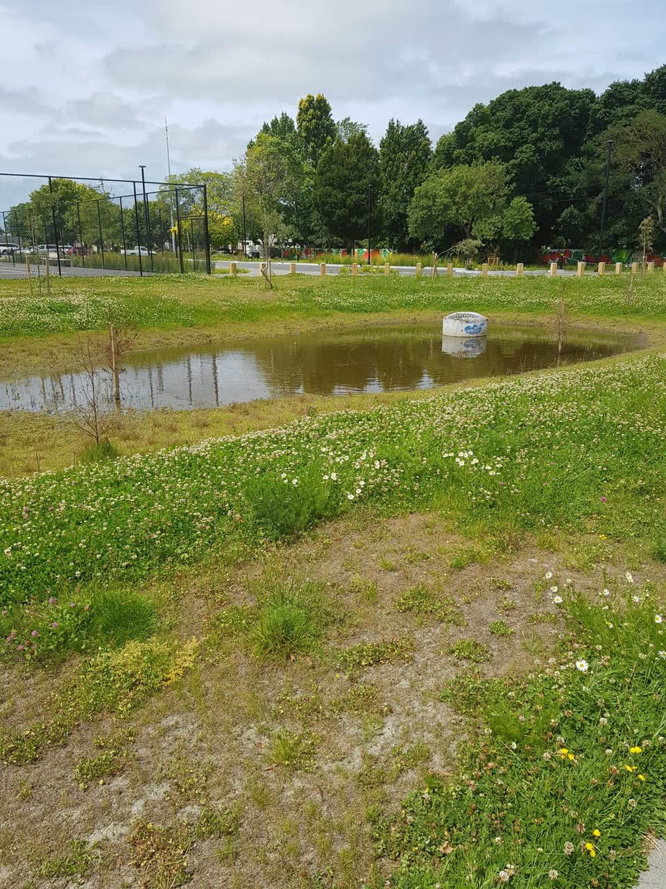 The photograph attached to this parks report