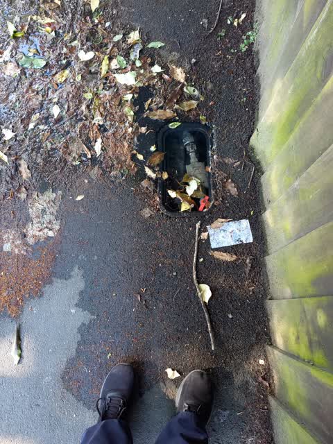 Water Leak, a report photo