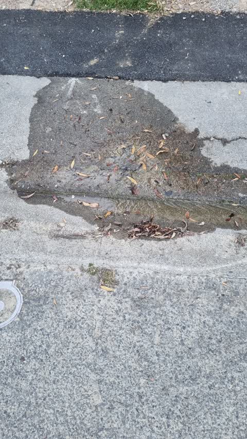 Water Leak, a report photo