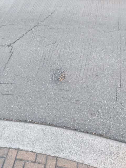 Roading/Streets, a report photo