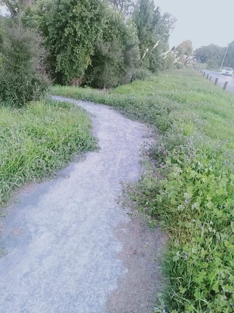 The photograph attached to this parks report