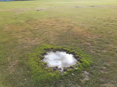 Parks, a report photo