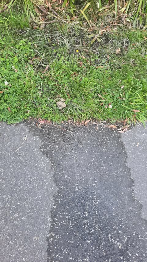 Water Leak, a report photo