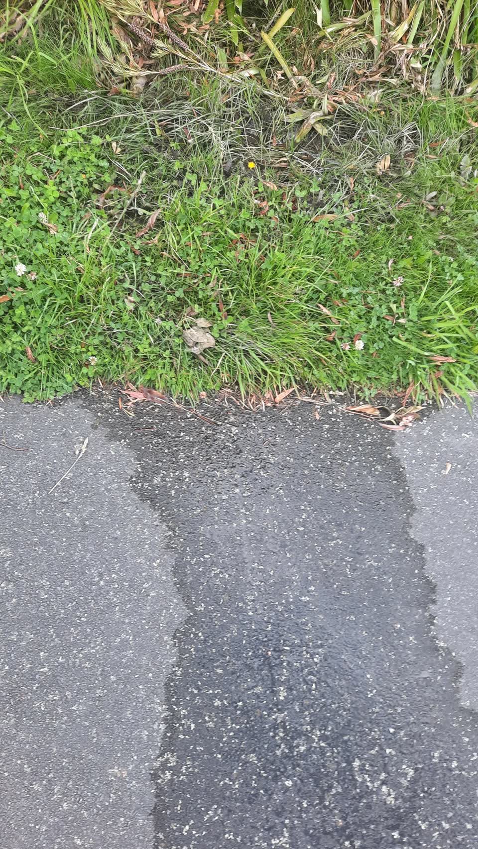 The photograph attached to this water leak report