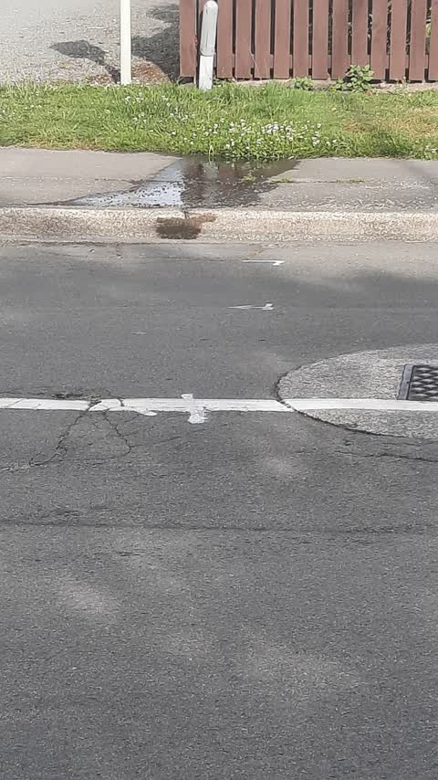 Water Leak, a report photo
