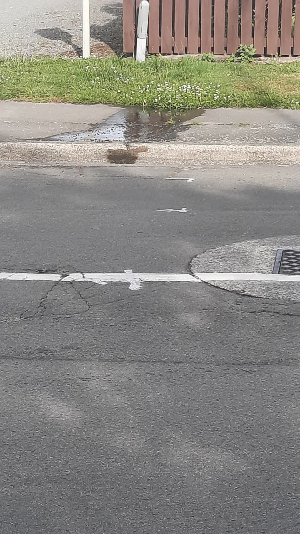 The photograph attached to this water leak report