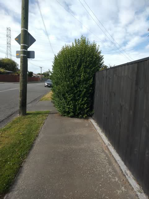 Roading/Streets, a report photo