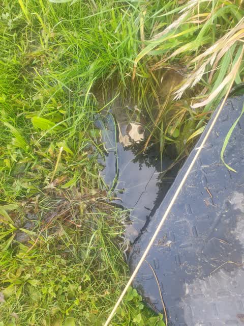 Water Leak, a report photo