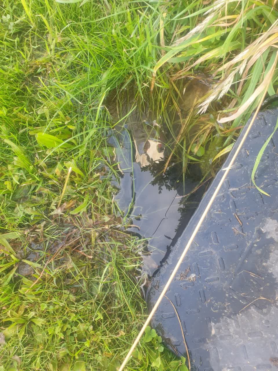 The photograph attached to this water leak report