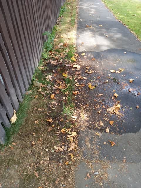 Water Leak, a report photo