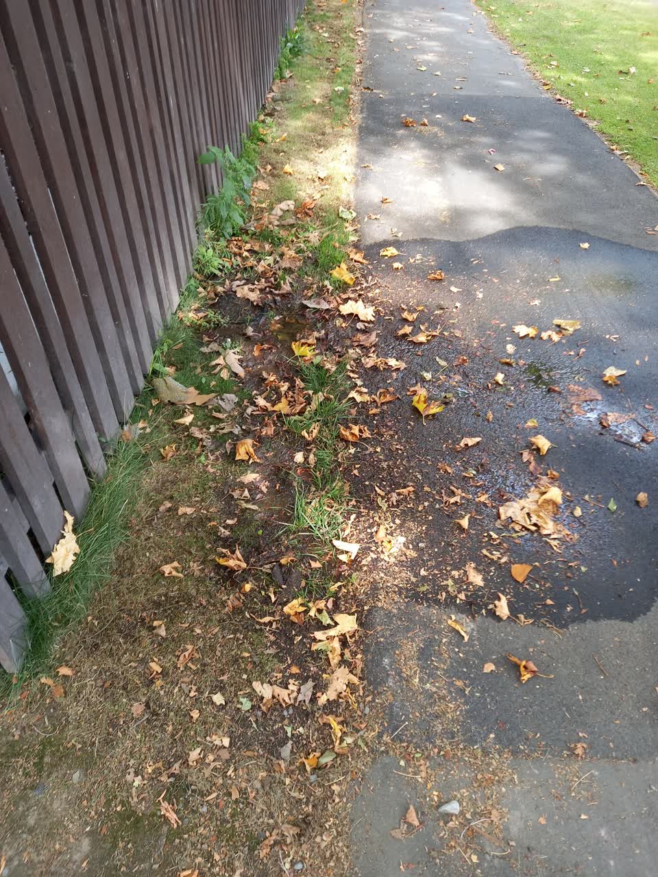 The photograph attached to this water leak report