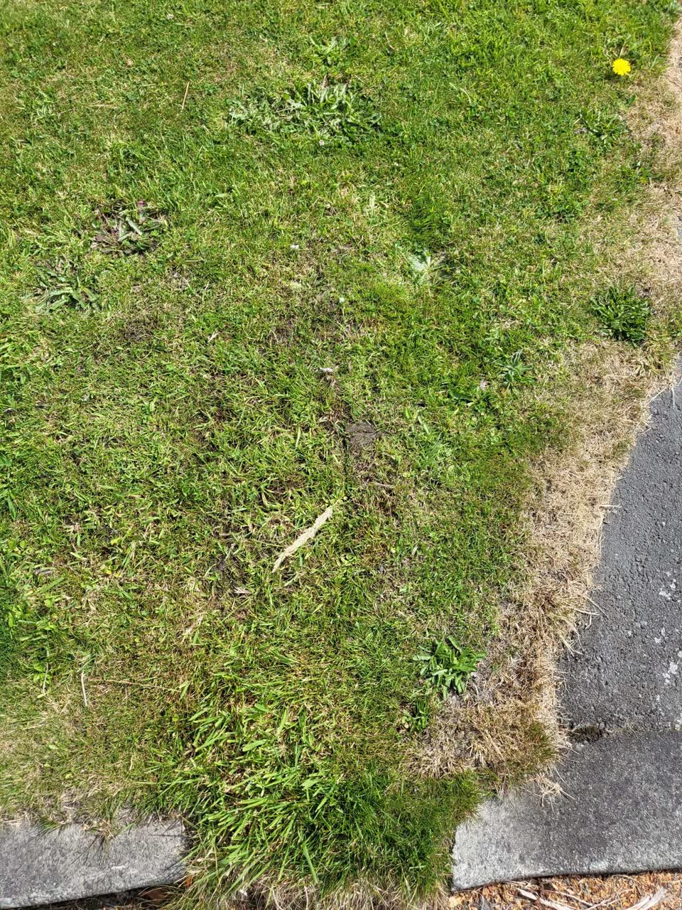 The photograph attached to this water leak report