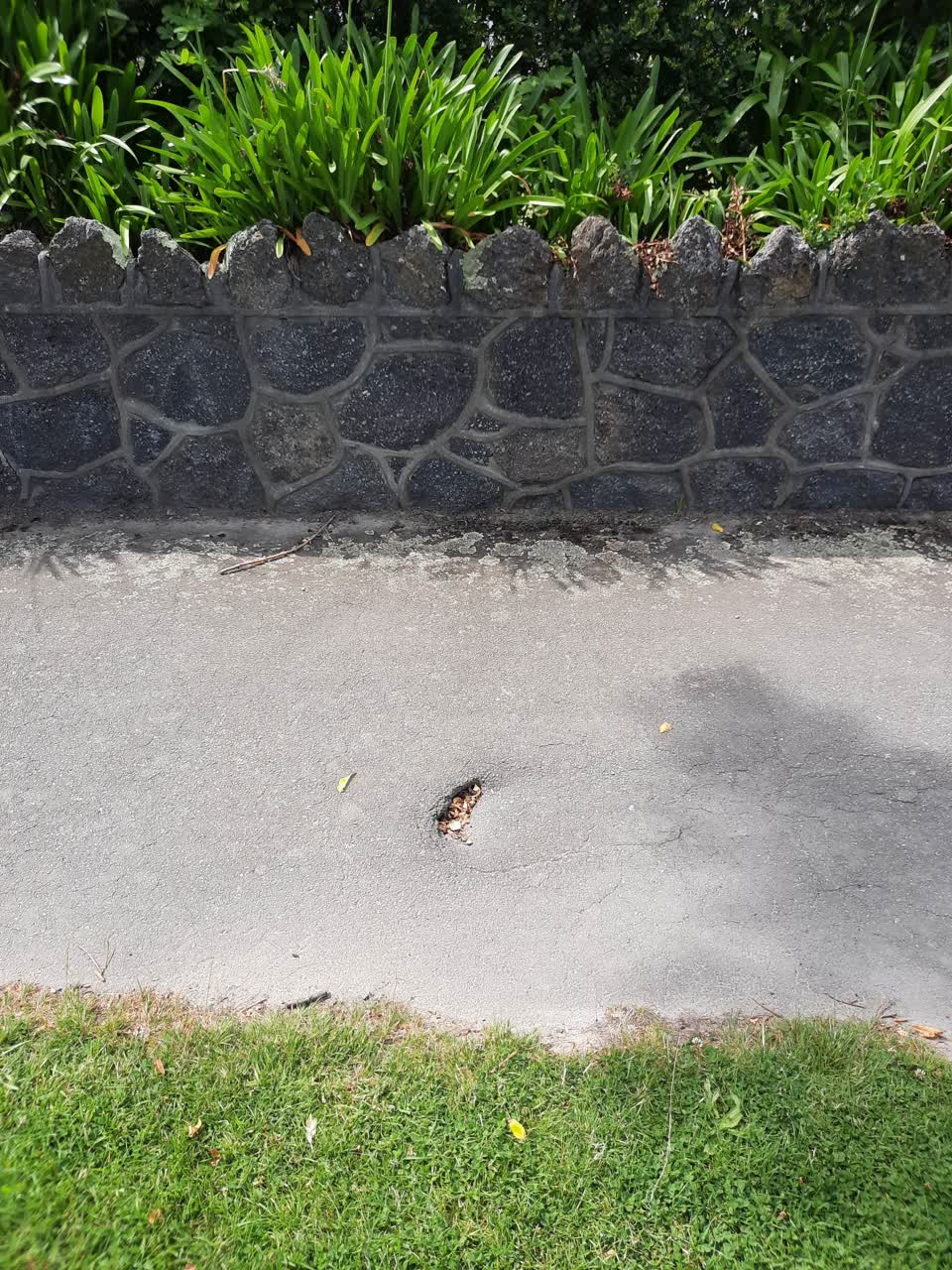 The photograph attached to this roading/streets report