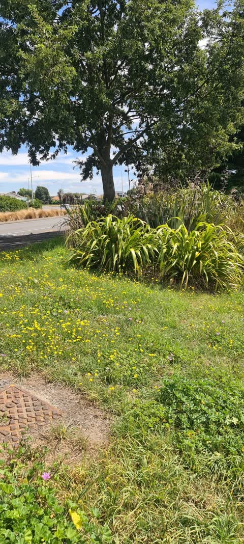 Roading/Streets, a report photo