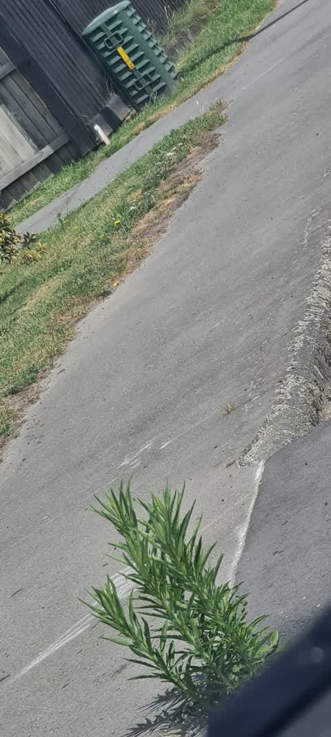 Roading/Streets, a report photo