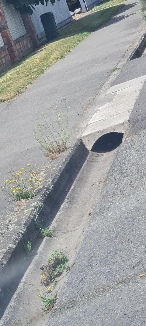 Roading/Streets, a report photo