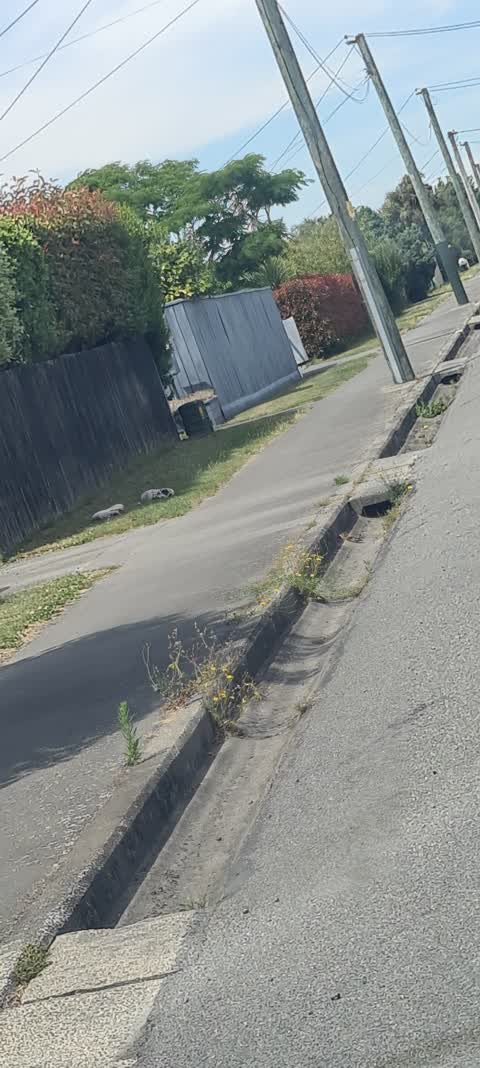 Roading/Streets, a report photo