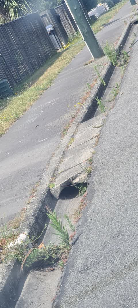 Roading/Streets, a report photo