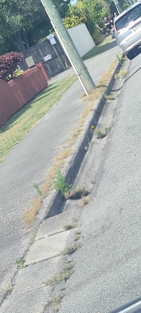 Roading/Streets, a report photo