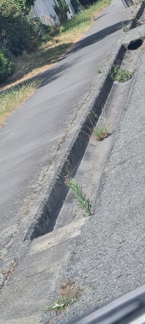 Roading/Streets, a report photo