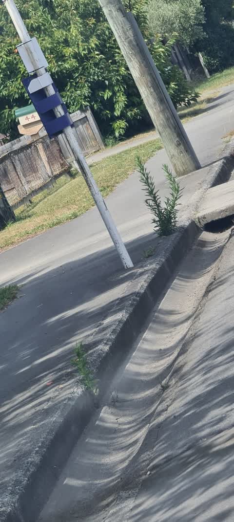 Roading/Streets, a report photo