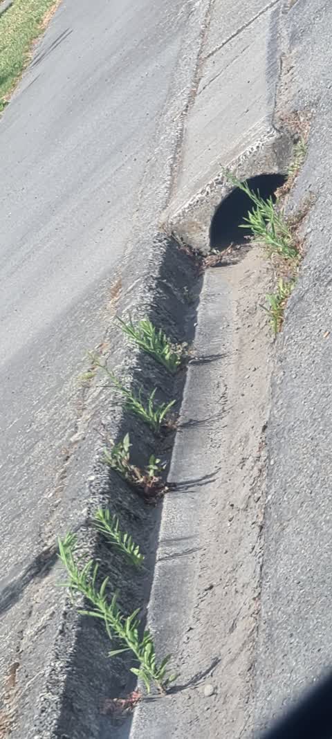 Roading/Streets, a report photo