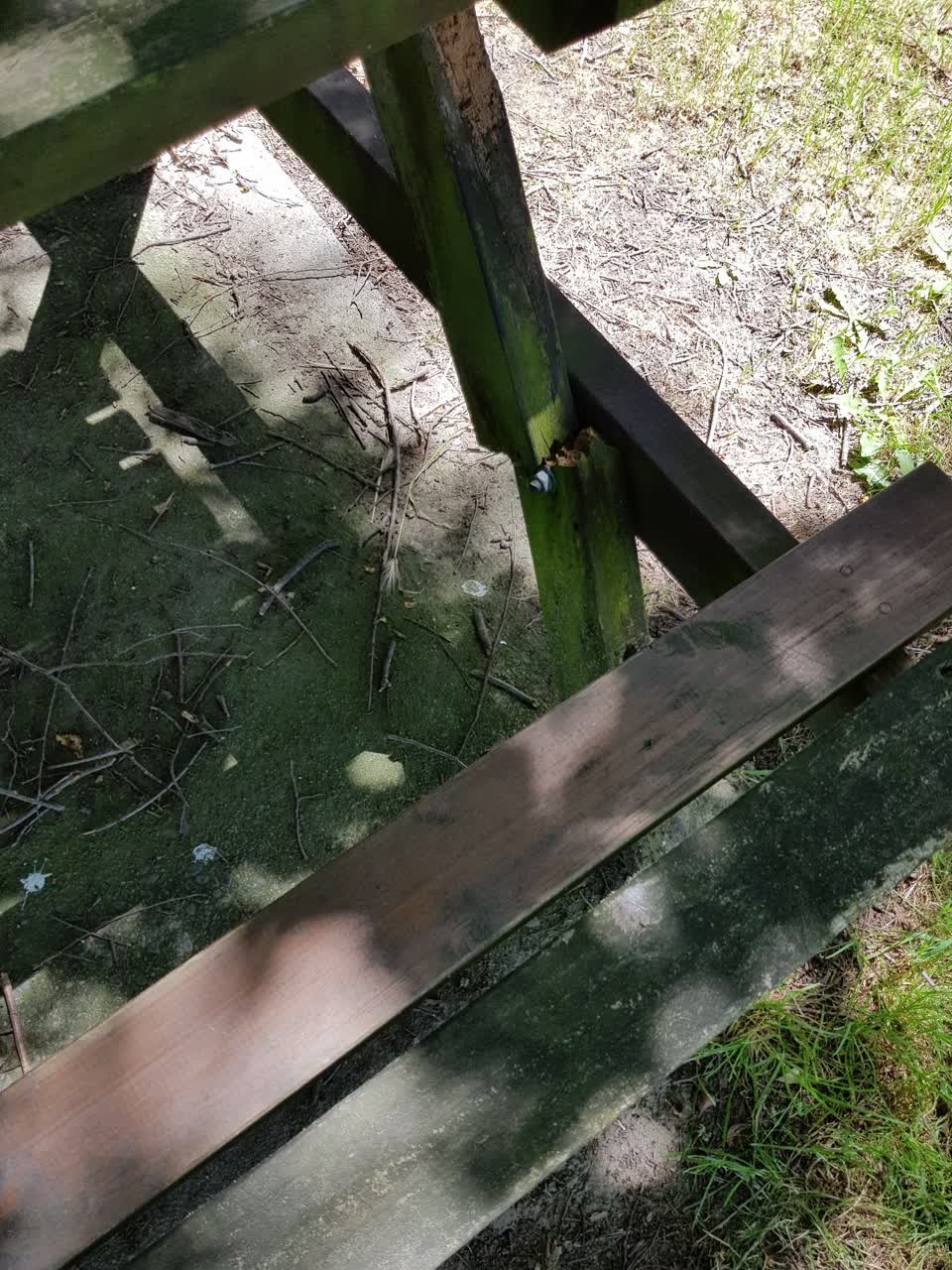 The photograph attached to this parks report