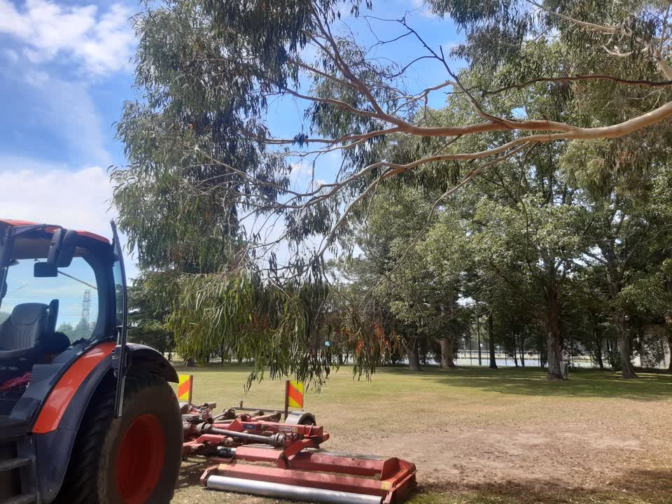 The photograph attached to this parks report