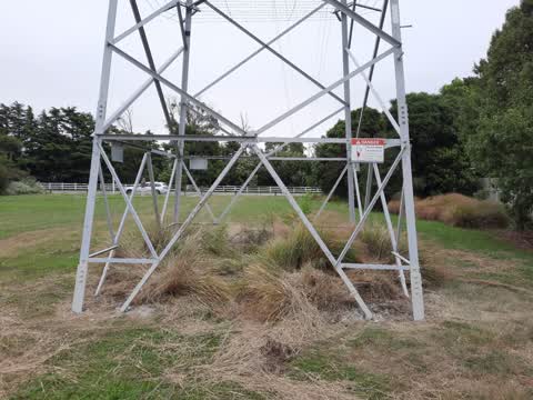 Parks, a report photo