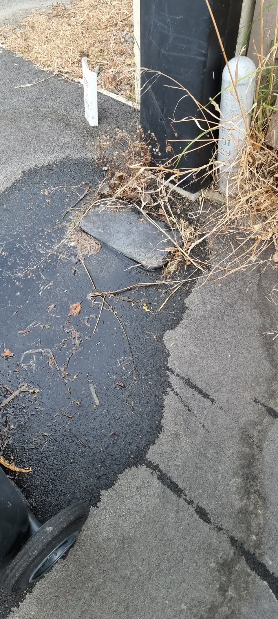 The photograph attached to this water leak report